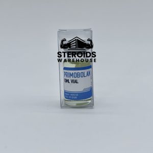Steroid Cycle – Mass